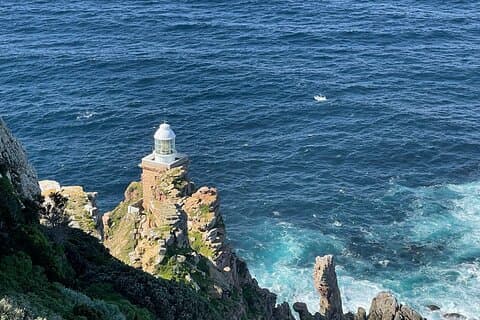 Tour del Capo di Buona Speranza e dei Pinguini