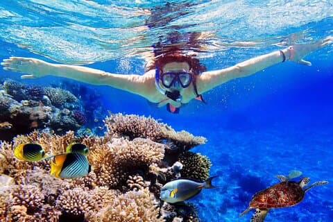 Blue Lagoon & Tanjung Jepun Snorkel privat tur