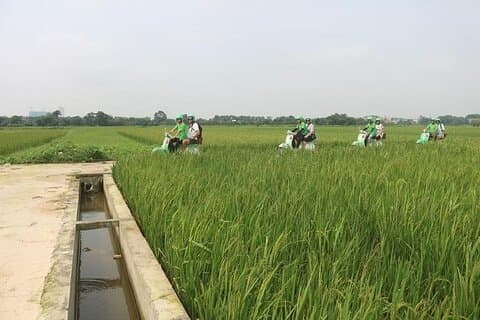 Ninh Binh Vespa Départ de Hanoi + Bateau + Villages + Rizières