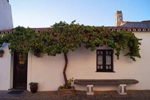 Half Day Monsaraz Tour from Evora by Archaeologists