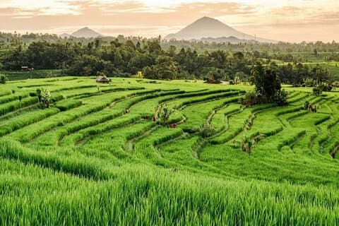 Bali 3-daagse privétour-Bali Hoogtepunt