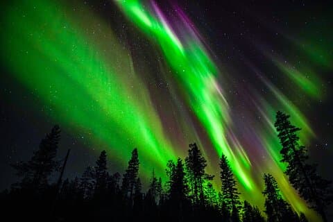Familievenlig: Northern Lights Adventure fra Rovaniemi