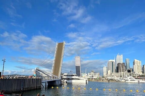 Skyline to Summit - A experiência da cidade privada de Auckland