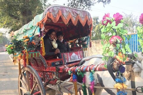 Private Half Day Tour in TajMahal with Chai