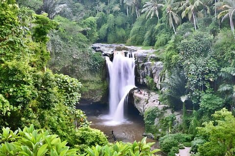 Private Half-Day Tour : Ubud Waterfall Tour Packages