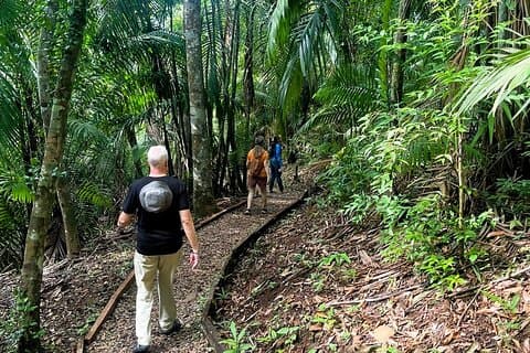 Caminhada guiada no Parque Metropolitano do Panamá