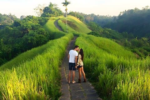 Bali heldagsbilcharter: Alt om Ubud Village Trip Experience