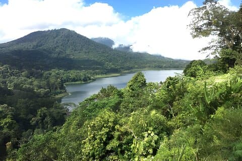 Bali Jungle Trekking in Beautiful Rainforest