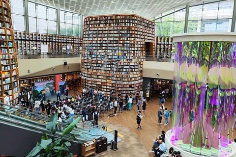 Seoul heldagsunderholdningstur (min. 2 personer)