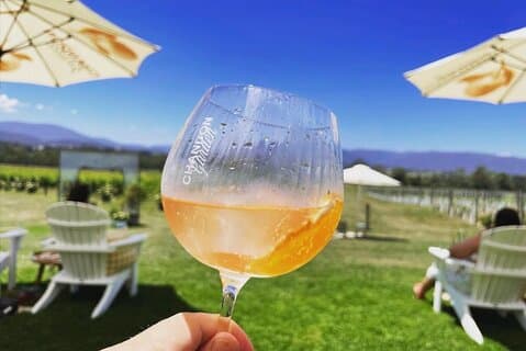 Yarra Valley Foodies Tour med Chandon og Kangaroo Safari!