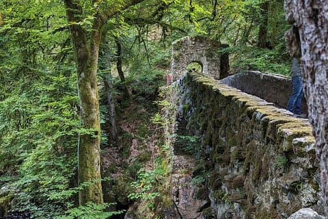 Scone Palace, Natura, Pitlochry, Whisky Esperienza da Glasgow