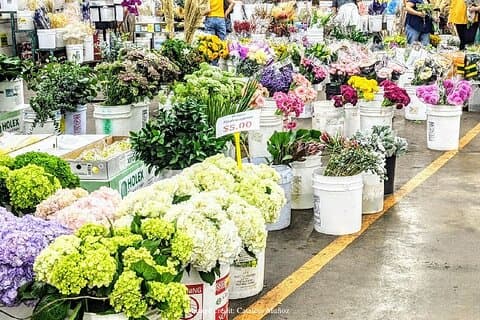 Quartier de la mode et des fleurs de LA : visite privée à pied d'une demi-journée