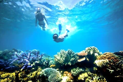 Blue Lagoon Snorkeling and Ubud Waterfall Tour