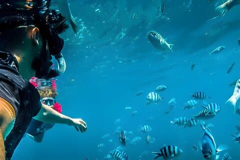 Snorkel en Laguna Azul - Todo Incluido