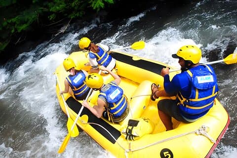 Visite complète de Bali Nature & Aventure : Rafting & Cascades
