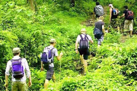 Bali Jungle Trekking with Lunch and Return Hotel Transfer