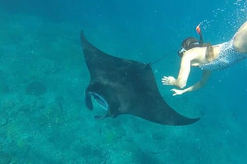 One Day Trip Nusa Penida Island and Snorkeling