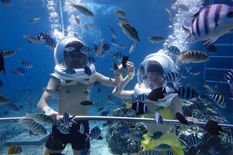 Bali Seawalker + ATV Ride + Spa Packages