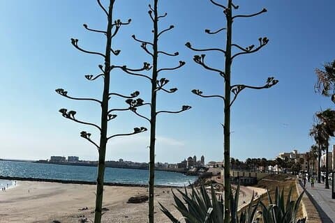 Privétour Cadiz: de lichtstad