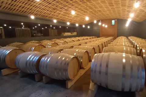 Visite privée des vignobles du Cap Stellenbosch l'après-midi