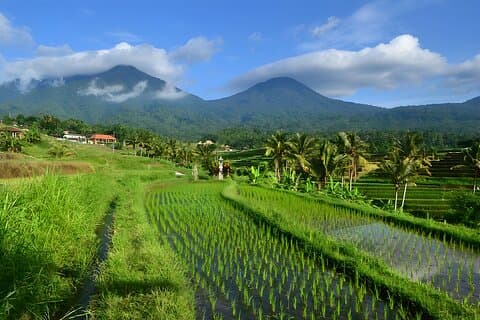UNESCO Jatiluwih Rice Terrace og Tanah Lot Sunset Tour