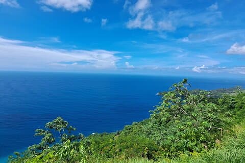 Island Tour (Food and Drinks include)