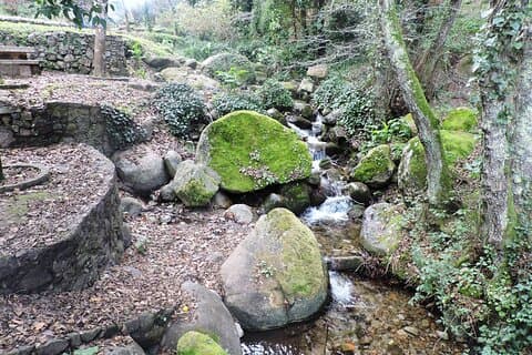 Private Monchique Guided Forest Hike w/Medronho Tasting