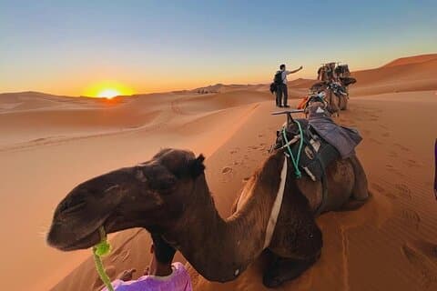 3-Day from Fes to Marrakech A Memorable Moroccan Adventure