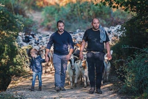 Circuit sur les traces des bergers sardes : vivre la transhumance