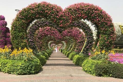 Halvdagsbiljett till Miracle Garden i Dubai