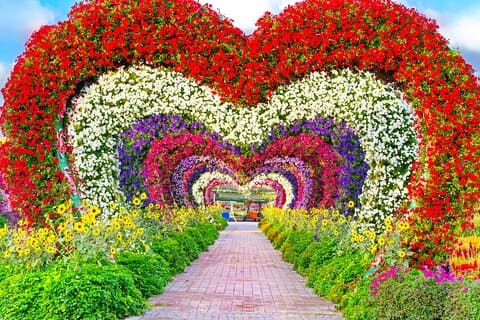 Miracle Garden Dubai-Tour ab Abu Dhabi mit privaten Transfers