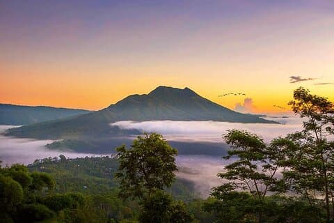 Ubud-Kintamani privat tur (alt inkludert)