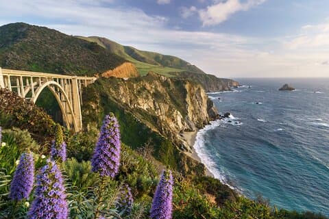 Halve dag privé Big Sur Driving Tour in Californië