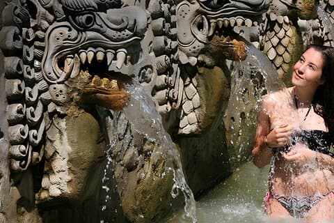 Noleggio auto per l'intera giornata a Bali: tour della bellezza del nord di Bali