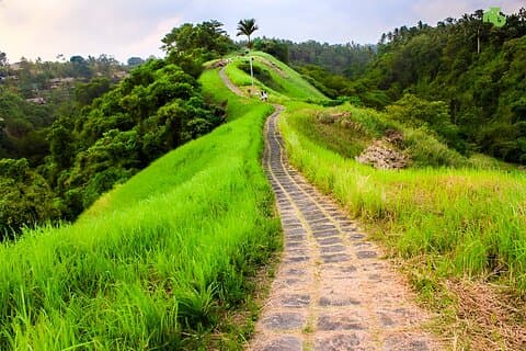 Bali Ganztagestour: Ubud Sightseeing Trip