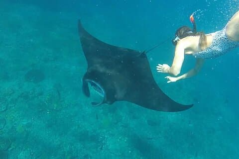 Tour de 2 dias e snorkel para conhecer Manta Rays em Nusa Penida
