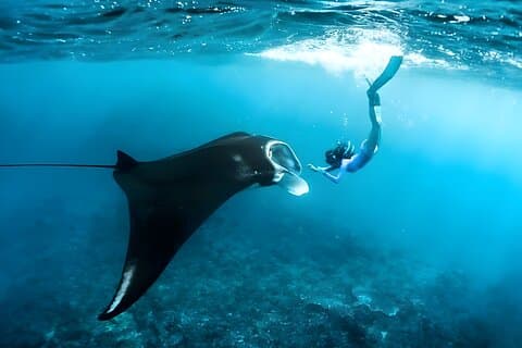 Nusa Penida Island Strandtur med snorkling - Avgang fra Bali Island