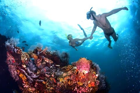 Blue Lagoon Snorkling och Tanah Lot Sunset Tour