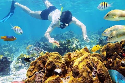 Day Tour To Nha Trang Coral Reef With BBQ Lunch & Mud Bath