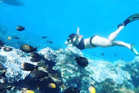 East Nusa Penida Island Snorkeling Tour - From Bali Island