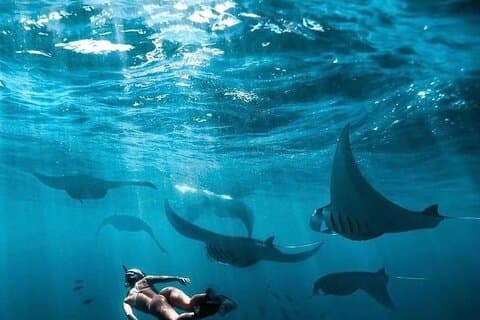 Excursão privada de um dia no leste e oeste com mergulho com snorkel em Nusa Penida