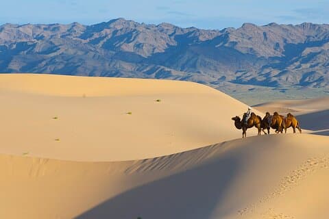 Fengende Sentral-Mongolia med guide