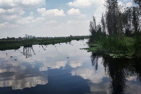 Prähispanisches Xochimilco, inklusive lokaler Küche und Axolotl.