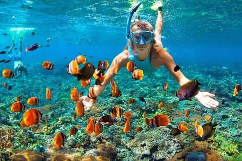 Snorkeling & Sunset BBQ Dinner In Phu Quoc Island Tour