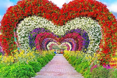 Tour privato della città di Dubai con biglietto Miracle Garden