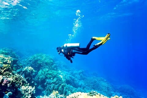 Scuba Diving Experience with Lunch & Transfer from Hurghada