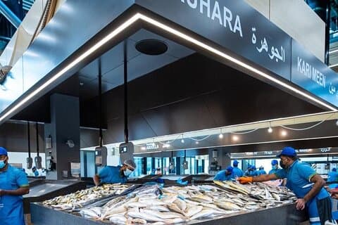 Heldags privat bytur i Abu Dhabi fra Ras Al-Khaimah