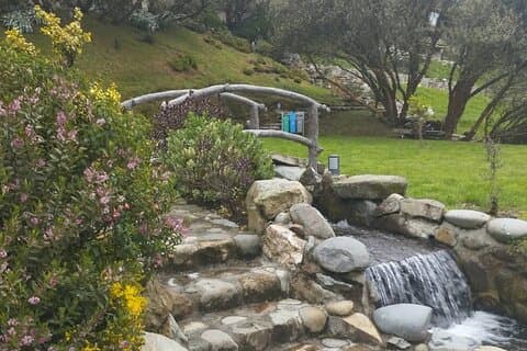 Private Day Tour in Cuenca and Cajas