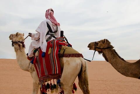 Private Al Thumama Desert Safari Riyadh | Dune & Camel Ride