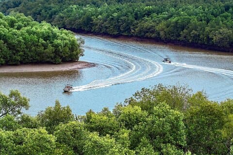 Esplorazione guidata privata della foresta di Can Gio Mangrove di un'intera giornata